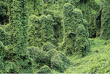 暴雪总裁曾对《星空》很期待 如今却在玩《心灵杀手》